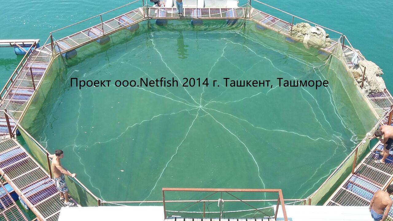 Садковая линия