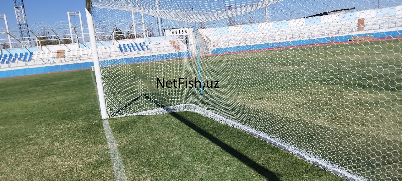 Тӯрҳои варзишӣ