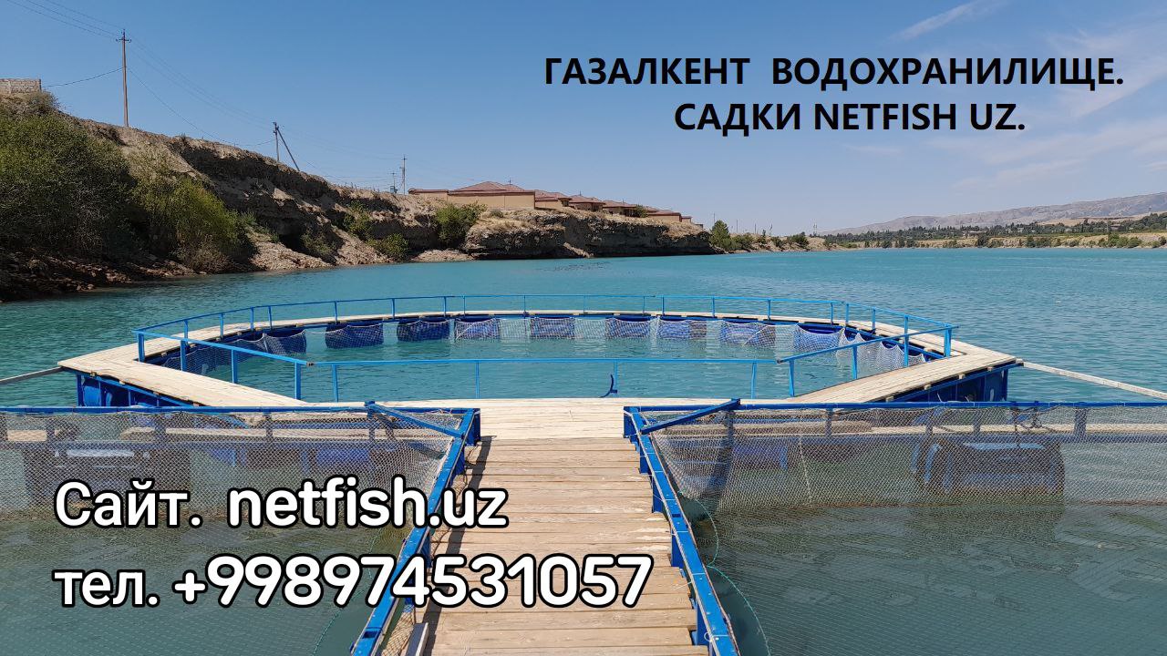 Садки для рыбы