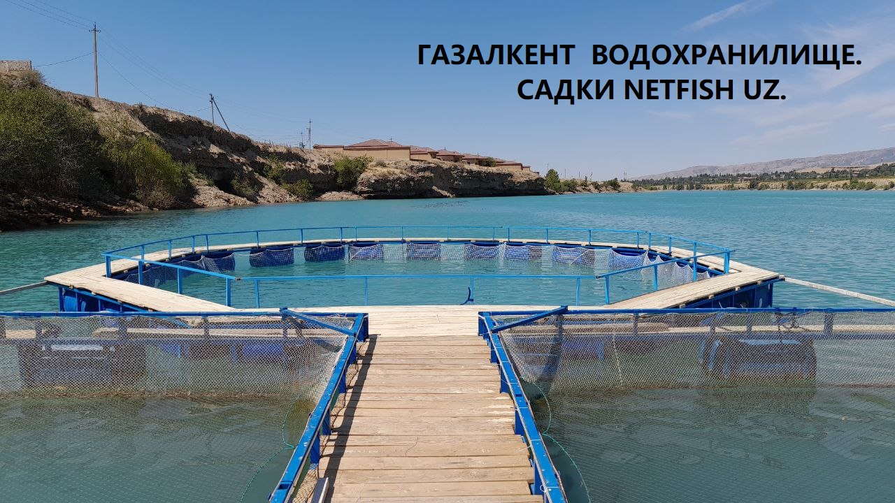 Садок для рыбы